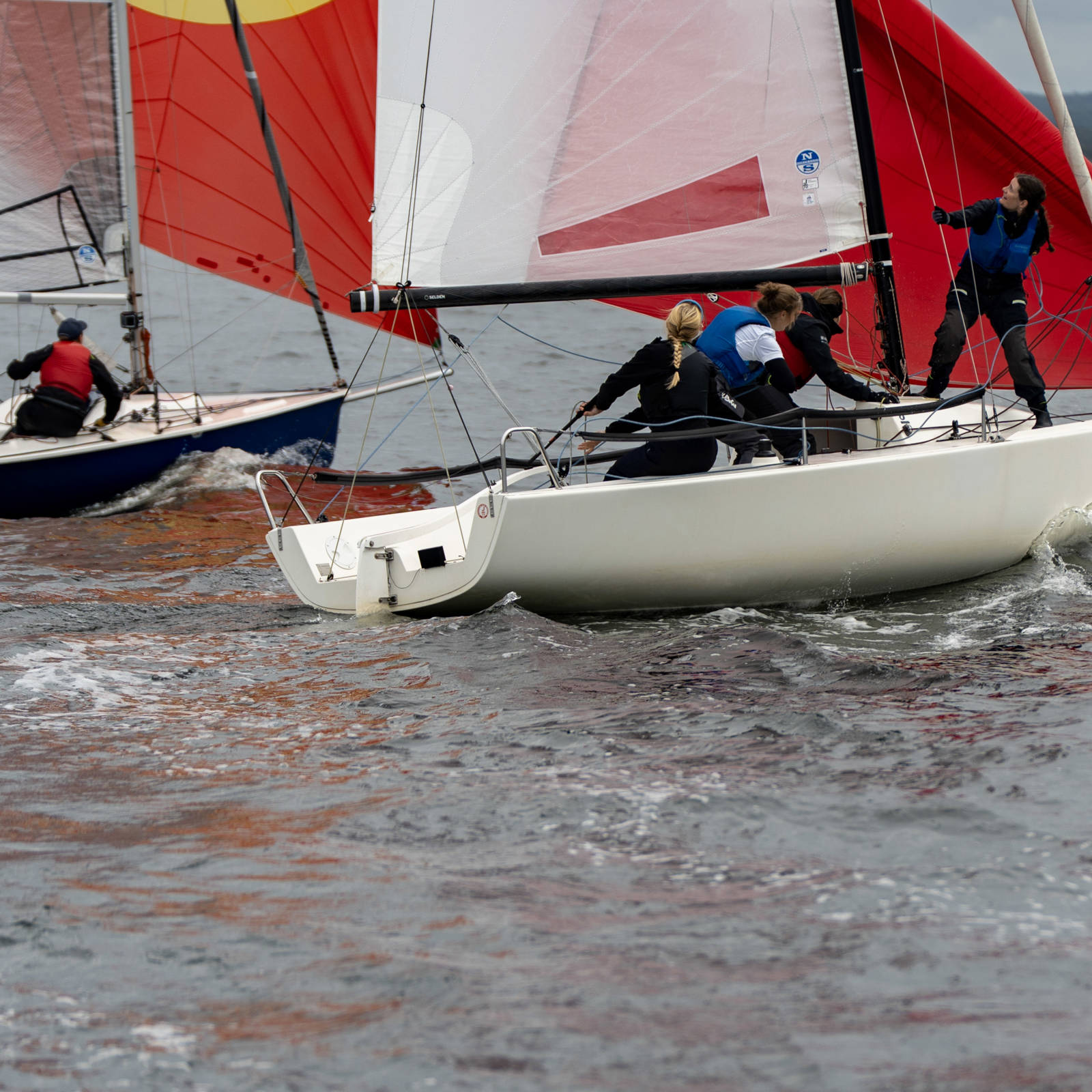 61 DSC09337