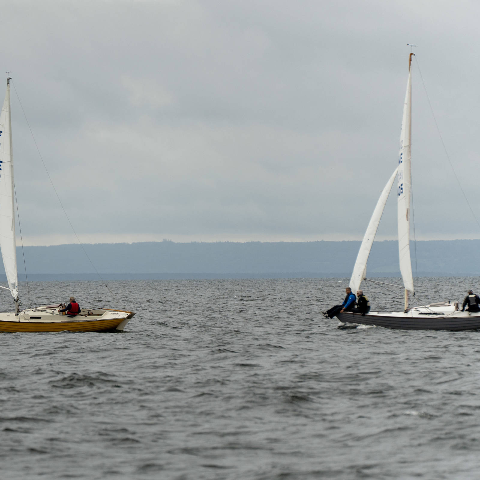49 DSC09323