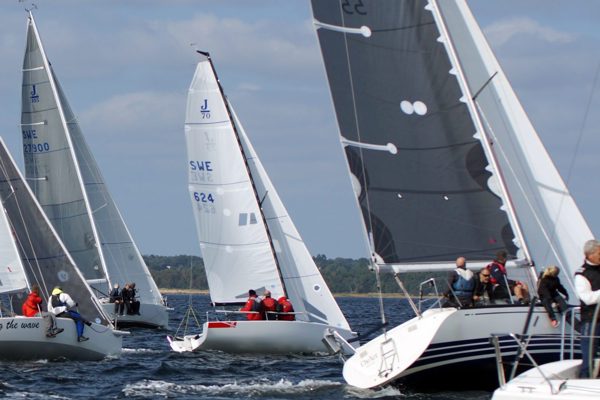 cropped-lappens-scaled-1.jpg (1)