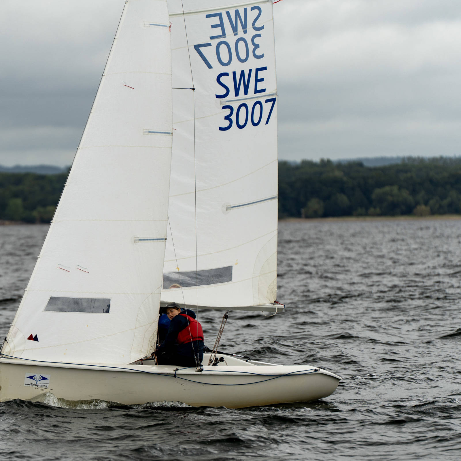 44 DSC09317