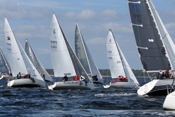 lappens_cup