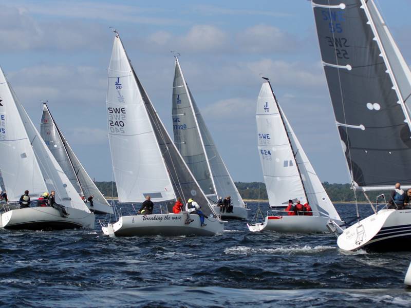 lappens_cup