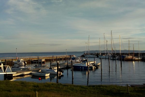 IMG_20200530_203907 (1)