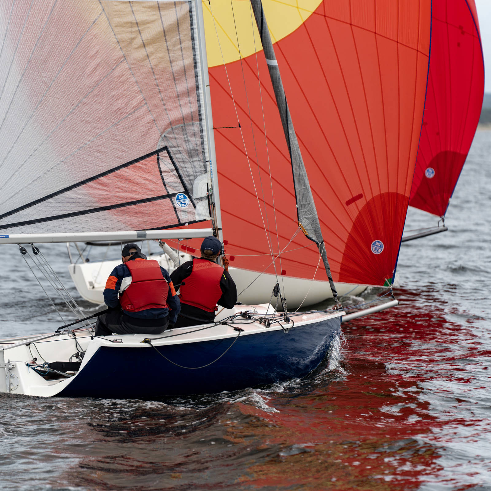 81 DSC09366