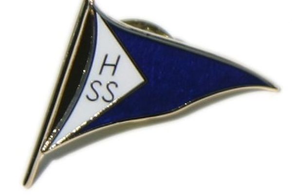 cropped-Pins-1-1.jpg (1)