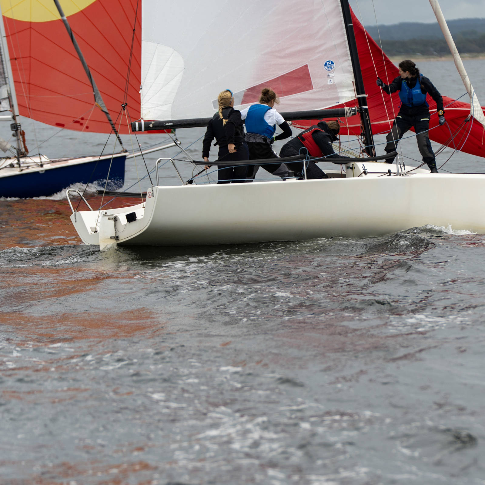 60 DSC09336