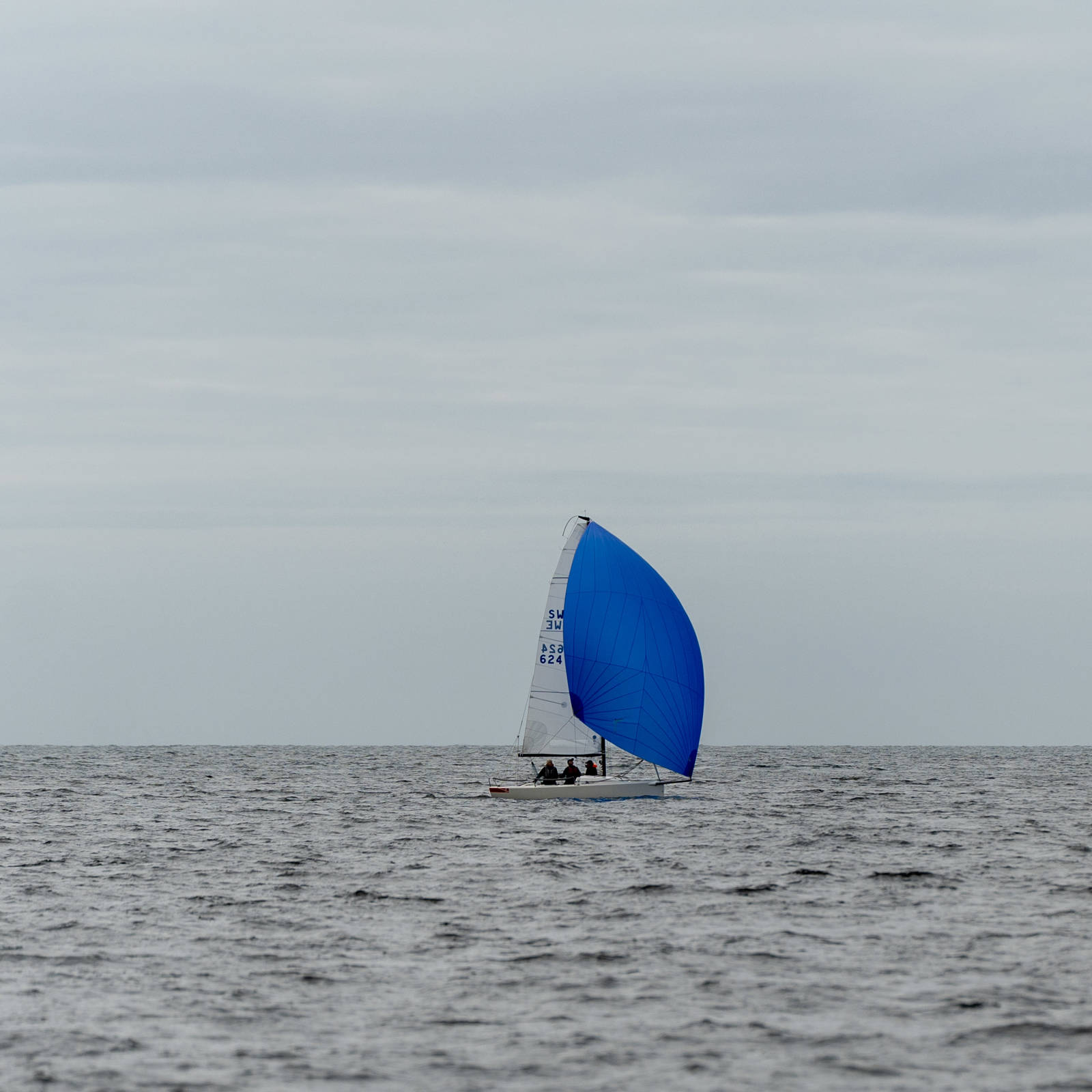 87 DSC09373
