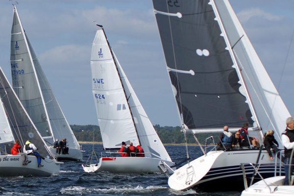 cropped-cropped-lappens-scaled-1.jpg (1)